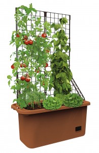 Growbox Pflanzenkasten - Tag des Gartens