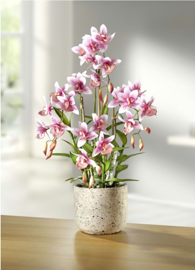 Orchidee im Topf - Kunst- & Textilpflanzen
