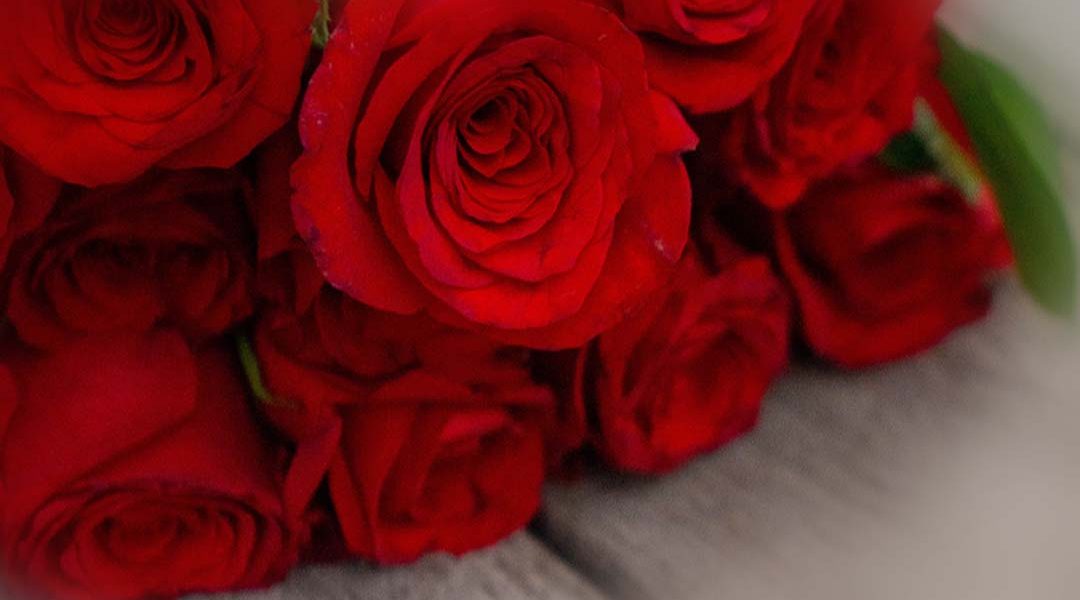 Rote Rosen als Geschenk zum Valentinstag