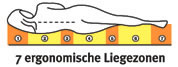 7Zonen_2006F_B_detail 7Zonen_2006F_B_detail