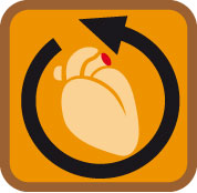 Logo_BlutkreislaufUnterstuetzung Logo_BlutkreislaufUnterstuetzung