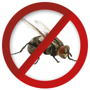 Logo_Gegen_Insekten