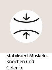 Logo_StabilisiertMuskeln Logo_StabilisiertMuskeln