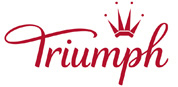 Triumph_2008F_T_detail
