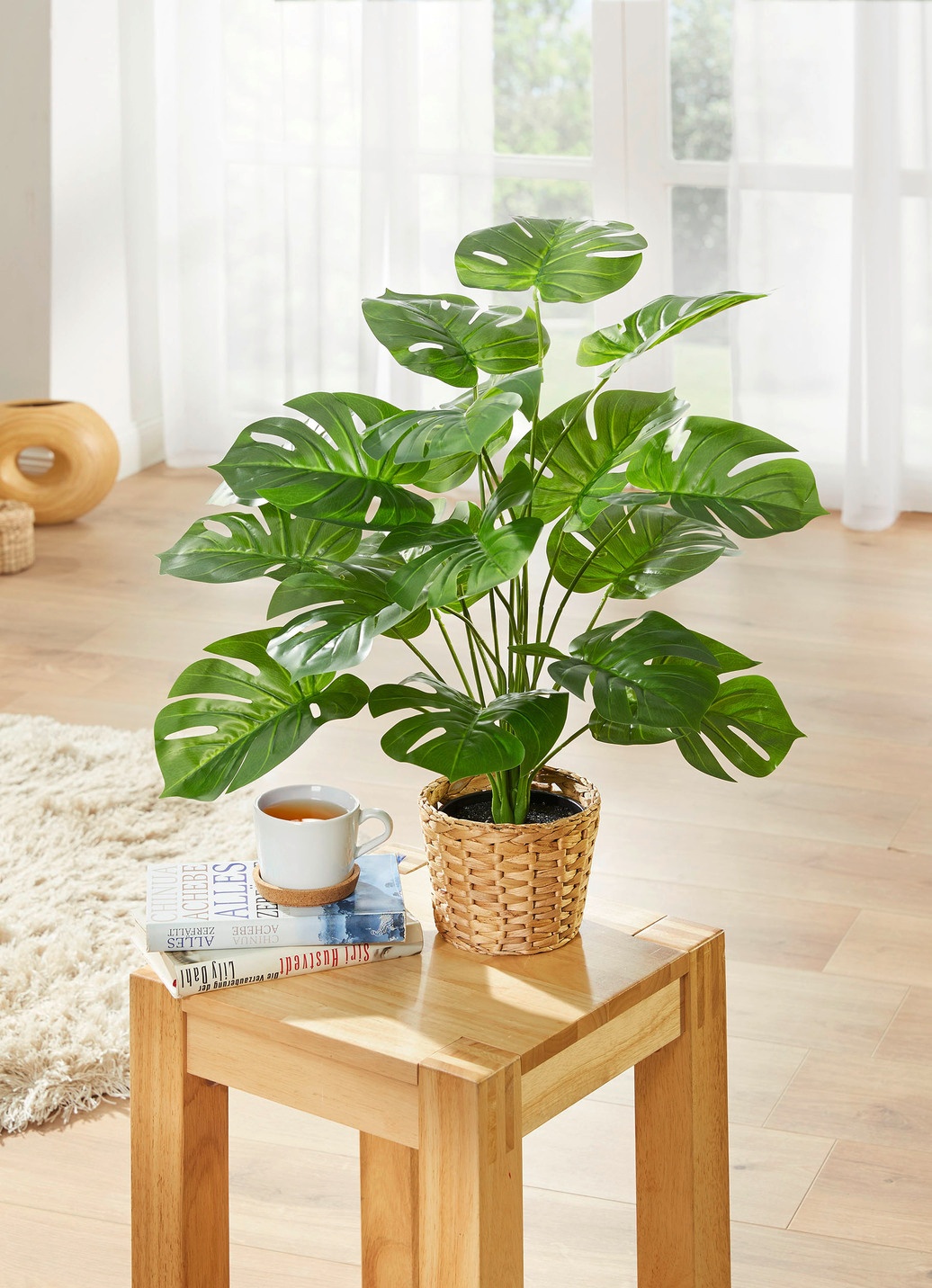 monstera deliciosa einpflanzen Monstera deliciosa variegata main image 1